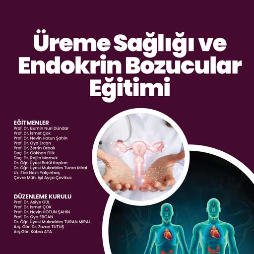 Üreme Sağlığı ve Endokrin Bozucular